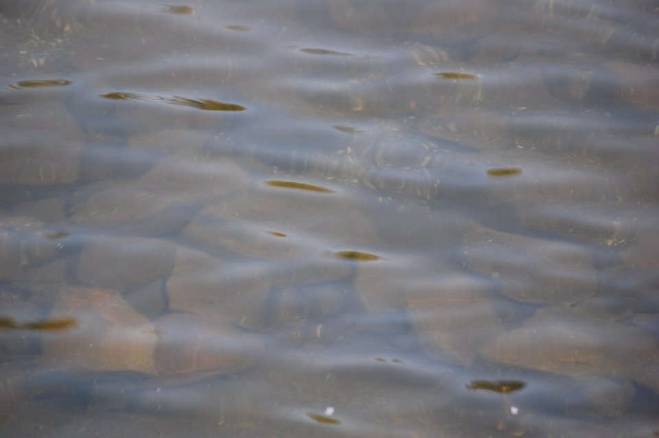 SUMMER (153)